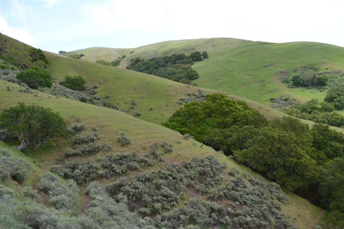 Milpitas, California — Notary Experts mobile service area